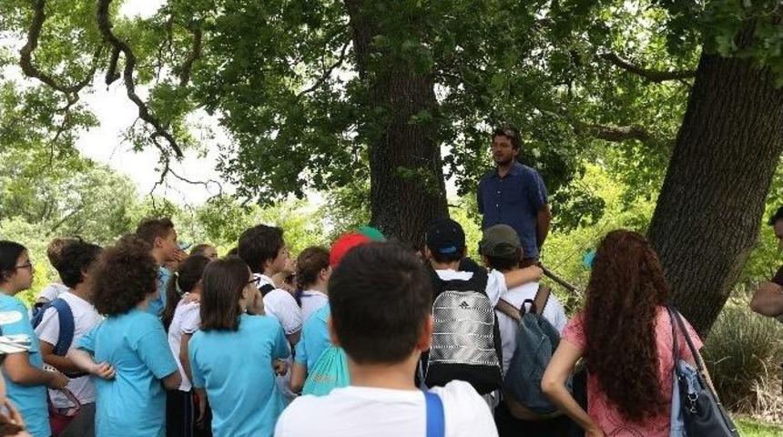 700 &Ouml;ğrenciye Longoz Ormanlarında Eğitim Verildi