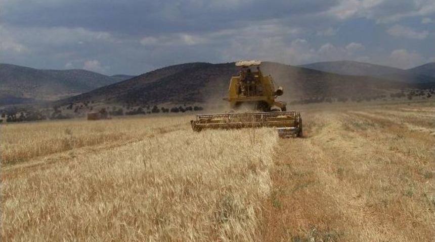 2016 Bi&ccedil;erd&ouml;ver Hasat Fiyatları A&ccedil;ıklandı