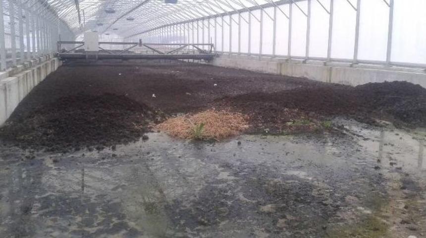 Arıtmadan Kalan &Ccedil;amur G&uuml;neş Enerjisiyle Kurutulacak