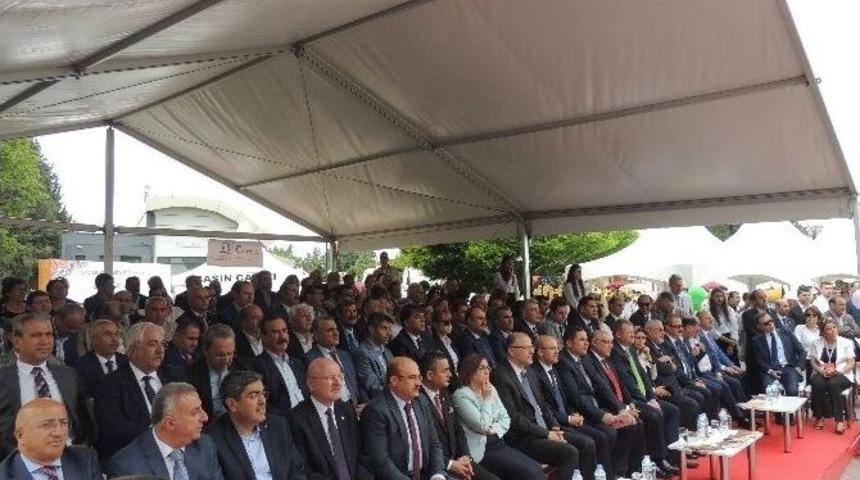 Bektaş Ve Boyraz Bulgur Festivaline Katıldı