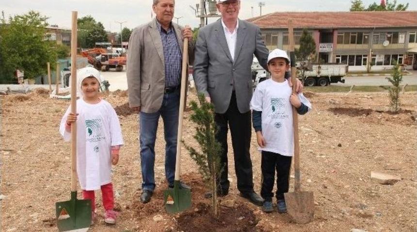 Ahşap Heykel Festivali Kapsamında &Ouml;zg&uuml;rl&uuml;k Ormanı Oluşturuldu