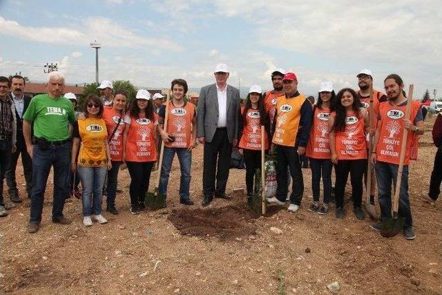 Ahşap Heykel Festivali Kapsamında Özgürlük Ormanı Oluşturuldu