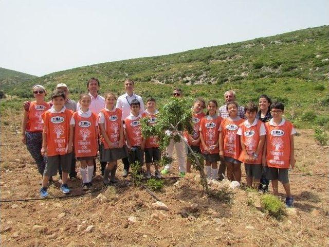 Sakız Ağa&ccedil;ları Klon Parkında Sevgiyle B&uuml;y&uuml;yor 1