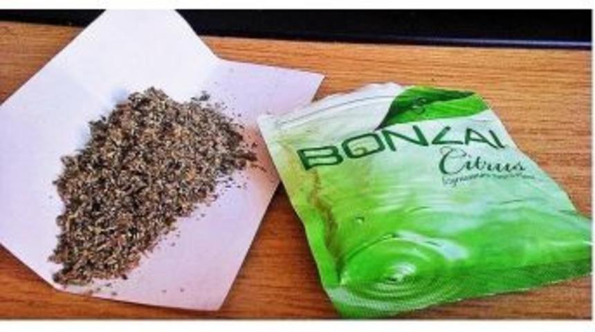 Nazilli&rsquo;de 1 Haftada &Uuml;&ccedil; Bonzai Vakası