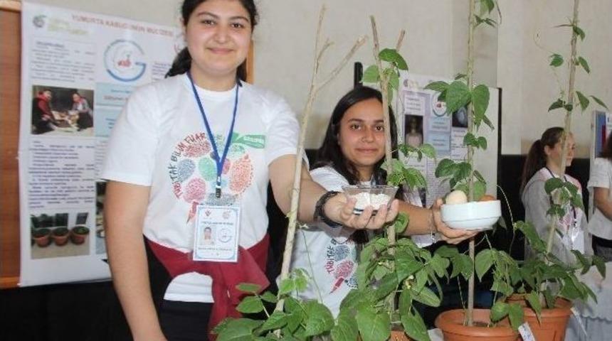 Mucit &Ouml;ğrenciler Yumurtanın Bir Faydasını Daha Keşfetti