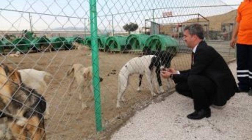 Başkan Şirin: &ldquo;yargısız İnfazla Karşı Karşıyayız&rdquo;