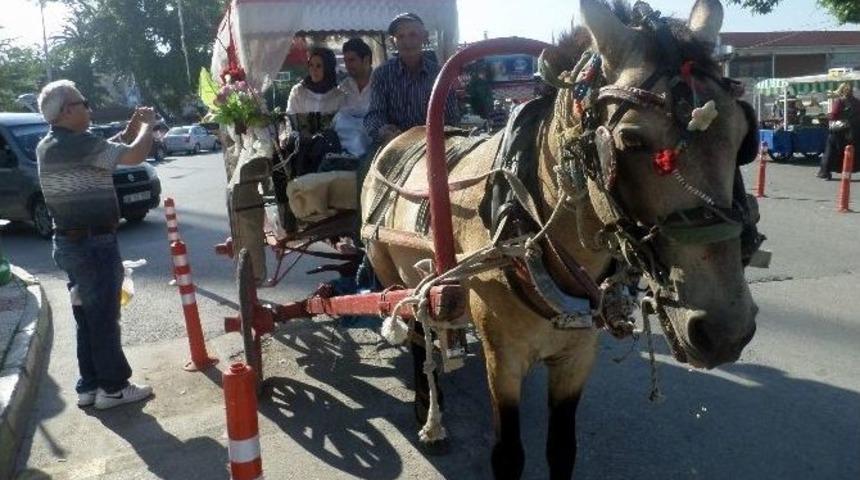 Bursa&rsquo;nın En G&uuml;zel Sahillerini Faytonla Geziyorlar