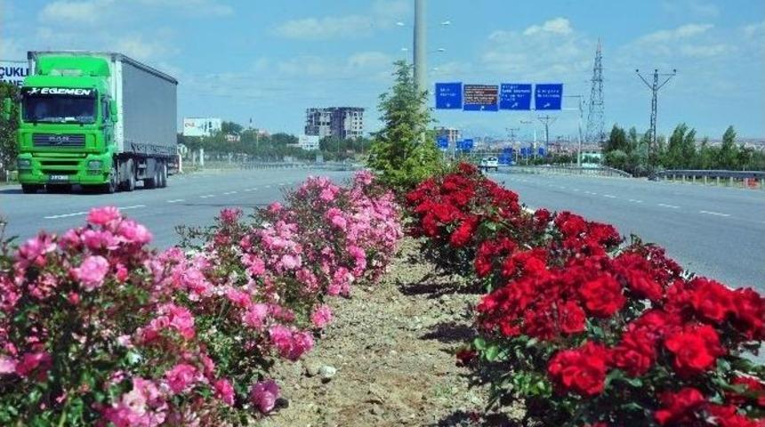 Karaman&rsquo;da Şehir Girişleri &Ccedil;i&ccedil;ek Gibi