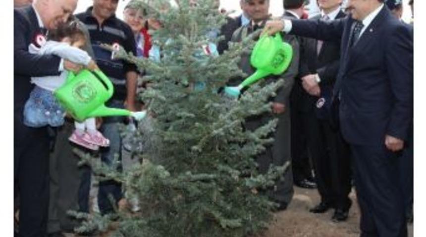 Orman Ve Su İşleri Bakanlığı Fidan &Uuml;retimi Hedeflerini Belirledi