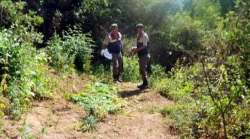 Antalya&rsquo;da Uyuşturucu Operasyonu