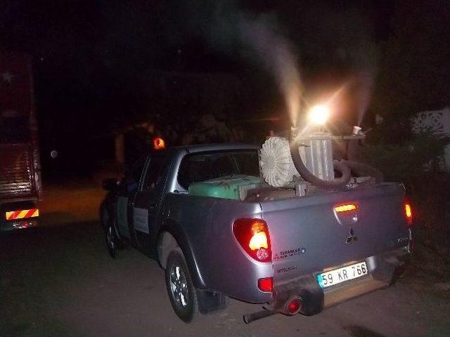 S&uuml;leymanpaşa Belediyesi Larvadan Sonra U&ccedil;kun İle De M&uuml;cadeleye Başladı 1