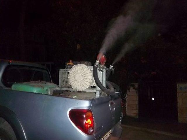 S&uuml;leymanpaşa Belediyesi Larvadan Sonra U&ccedil;kun İle De M&uuml;cadeleye Başladı 2