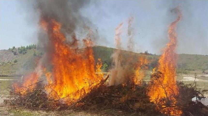 Orman Yangını Tatbikatı Ger&ccedil;eği Aratmadı