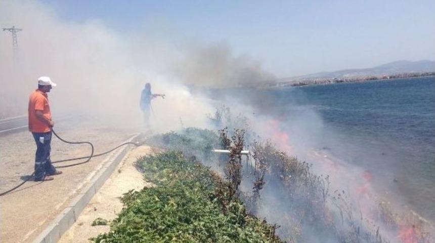 Tarihi Alanda Yangın
