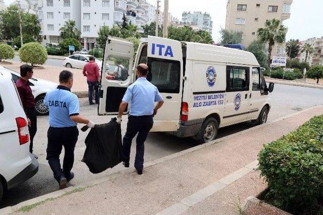 Mersin&rsquo;de Sahte M&uuml;h&uuml;rl&uuml; 301 Kilo Ka&ccedil;ak Et Ele Ge&ccedil;irildi 1