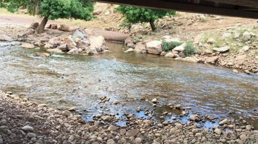 Jandarma Faciayı &Ouml;nledi