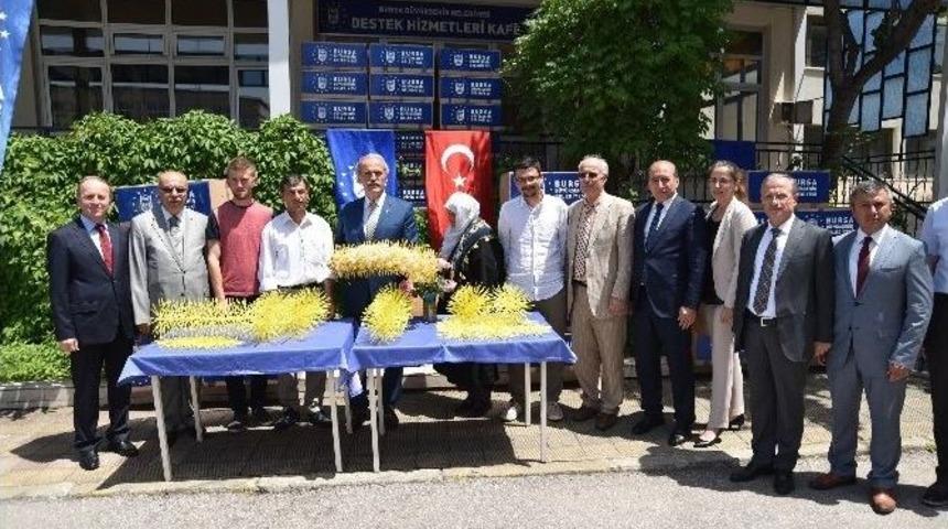 İpek &Uuml;reticisine B&uuml;y&uuml;k Destek