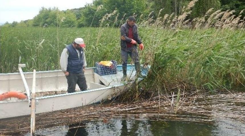 Eğirdir G&ouml;l&uuml;&rsquo;nden 7 Bin Metre Ağ &Ccedil;ıkarıldı