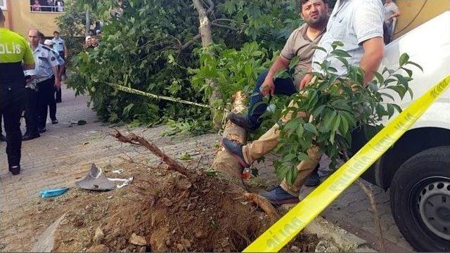 Yolcu Minibüsü Devrildi: 10 Yaralı