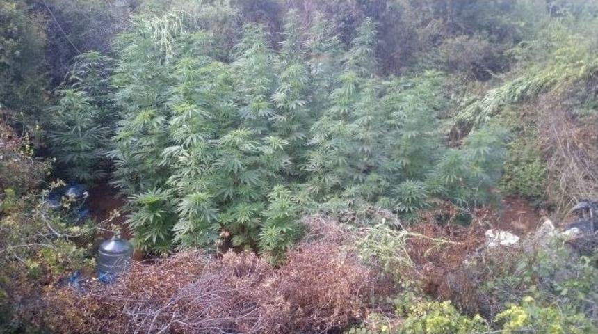 Manavgat&rsquo;ta Uyuşturucu Operasyonu