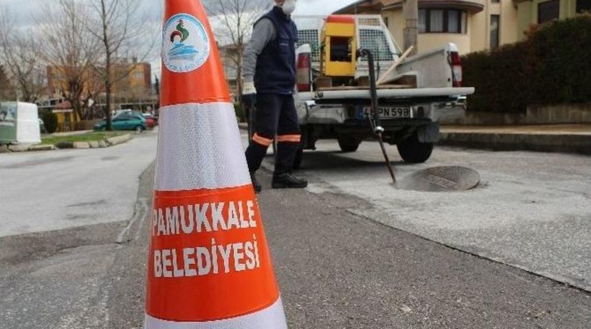 Pamukkale&rsquo;de Haşereyle Etkin M&uuml;cadele S&uuml;r&uuml;yor