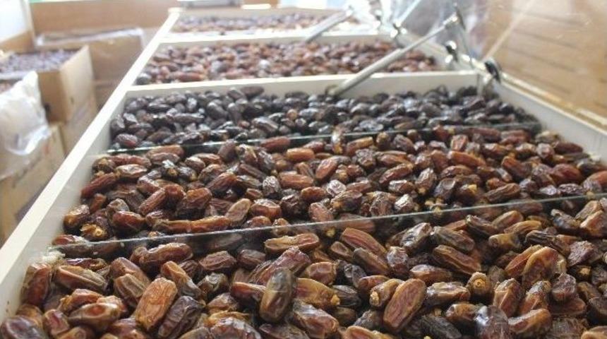 (özel Haber) Hurma Tezgahtaki Yerini Aldı