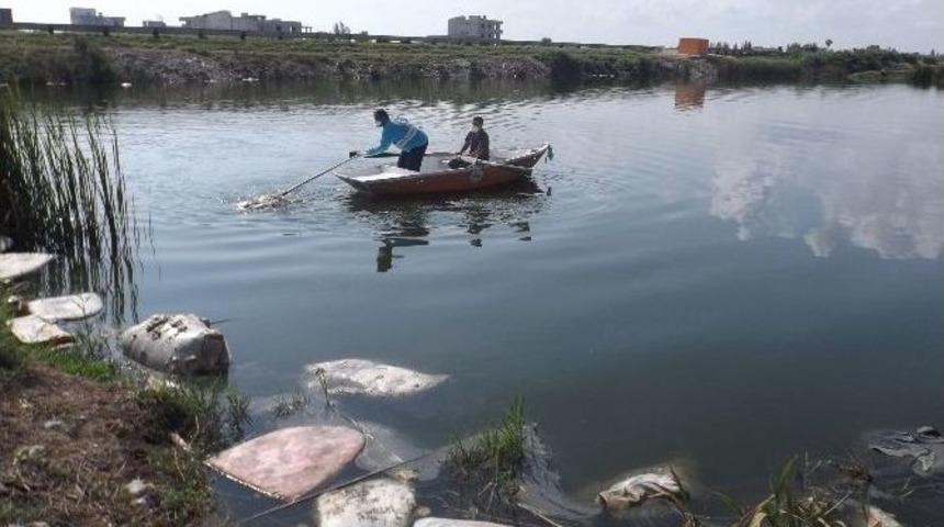 B&uuml;y&uuml;kşehir, Sinek Ve Haşereyle M&uuml;cadeleyi S&uuml;rd&uuml;r&uuml;yor