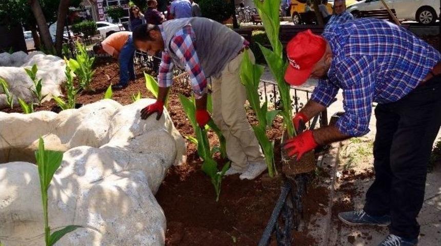 Mersin&rsquo;in Simgelerinden Yoğurt Pazarı Parkı Yenilendi