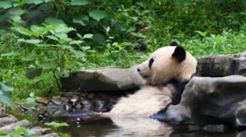 &Ouml;l&uuml;m&uuml; bekleyen bebeğe ilgin&ccedil; yaşam listesi