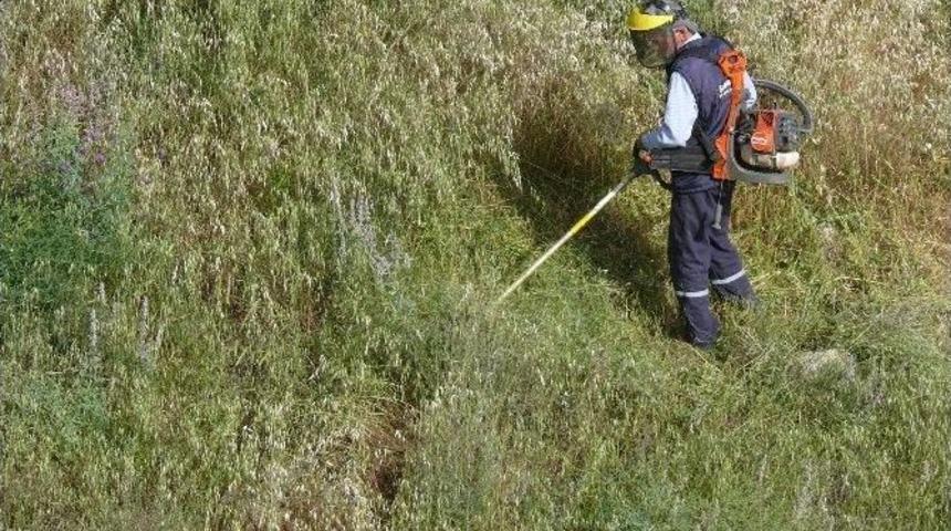 Belediyeden Boş Arazilerde Yabani Ot Temizliği