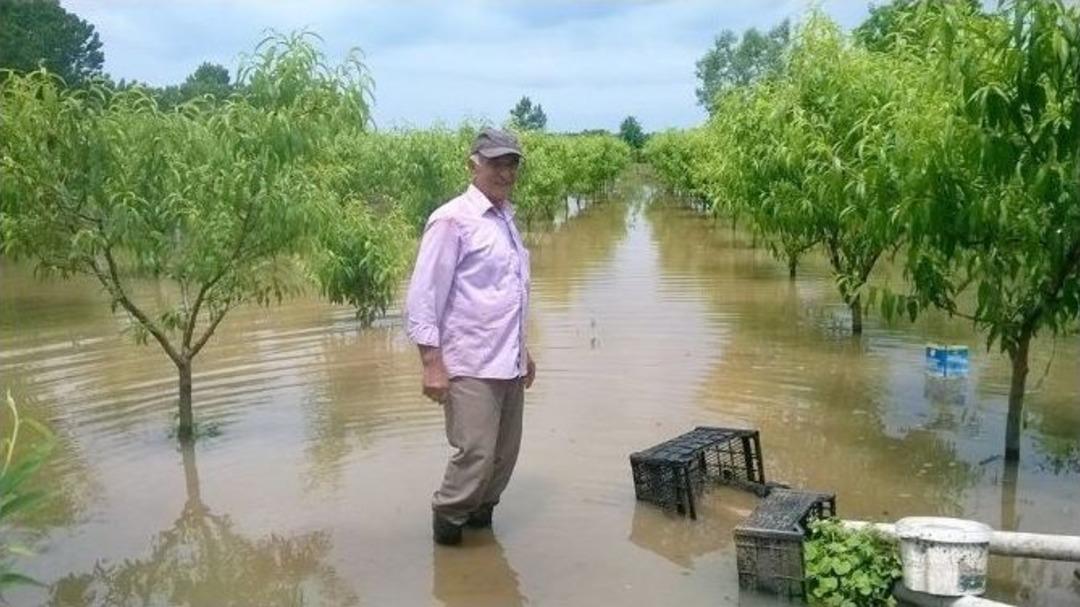 Tarımsal Arazilerde &ldquo;sağanak&rdquo; Zararı