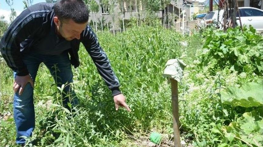 Y&uuml;ksekova&rsquo;da Patlamamış M&uuml;himmat Korkutuyor