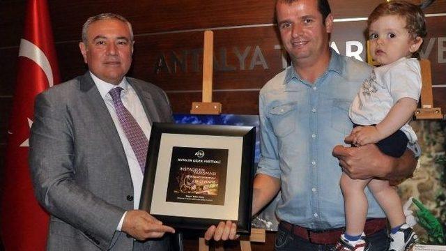 Antalya Ve Cicek Festivali Fotoğraf Yarışmasının Ödülleri Verildi