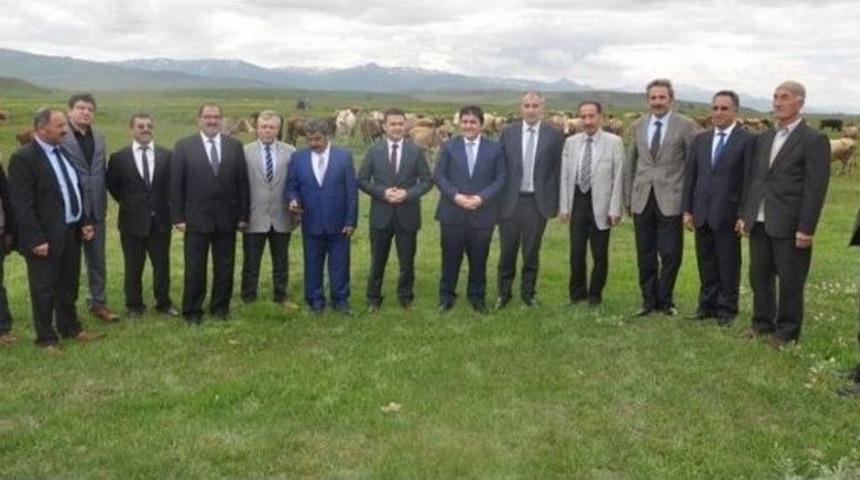 K&ouml;pr&uuml;k&ouml;y Eğirmez Merası D&uuml;zenlenen T&ouml;renle Otlatmaya A&ccedil;ıldı