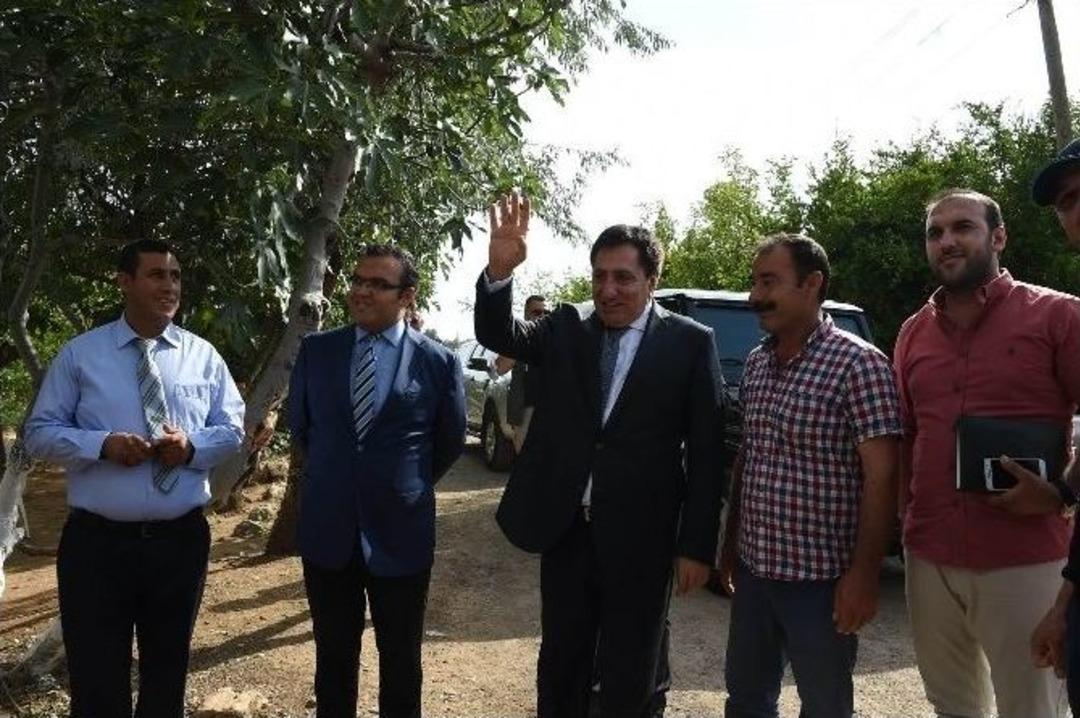 Mevsimlik G&ouml;&ccedil;&uuml; &Ouml;nlemede Son Umut İpekb&ouml;ceği