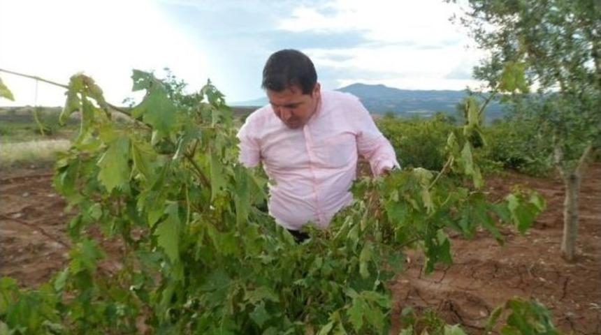 Dolu Yağışının Vurduğu &Ccedil;ift&ccedil;iler Destek Bekliyor