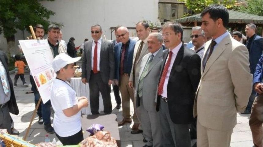 Bilim Fuarı Büyük İlgi Gördü