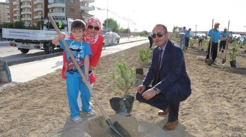 &Uuml;&ccedil; Y&uuml;z Fidan Toprakla Buluştu