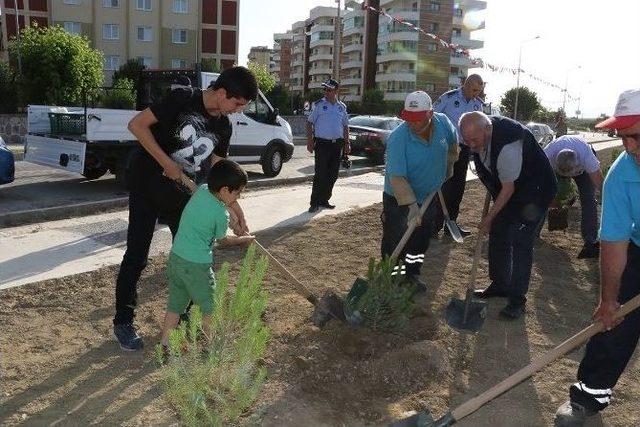 Üç Yüz Fidan Toprakla Buluştu