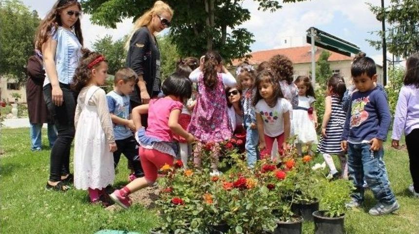 Emirdağ&rsquo;da Bir &Ccedil;i&ccedil;ek Bir &Ccedil;ocuk, Her &Ccedil;ocuk Bir &Ccedil;i&ccedil;ek Projesi
