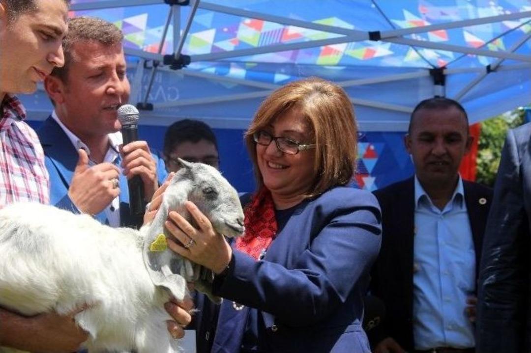 B&uuml;y&uuml;kşehir Belediye Başkanı Fatma Şahin, Ke&ccedil;iden S&uuml;t Sağdı