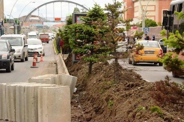 Ağrı Belediyesi’nden Peyzaj Ve Refüj Çalışması