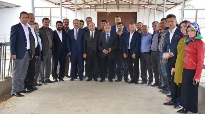 Bafra Sydv&rsquo;den Manda Dağıtımı