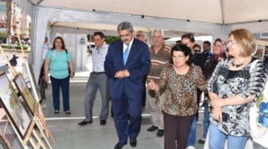 Nazilli Belediyesi Ve Hem&rsquo;in Ortaklaşa D&uuml;zenlediği Resim Sergisi A&ccedil;ıldı