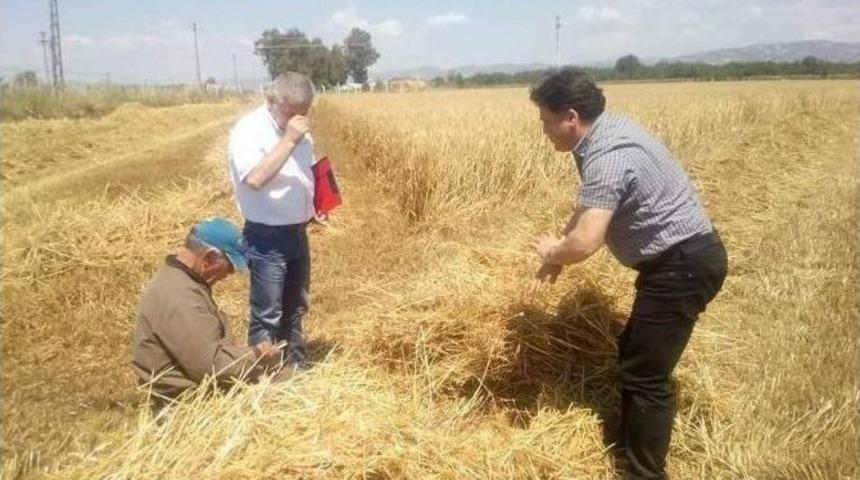 Aydın&rsquo;da Bi&ccedil;erd&ouml;ver Kontrol&uuml; Ve Anız Yangını Tebliği Yayınlandı