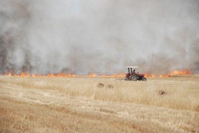 Aydın’da Biçerdöver Kontrolü Ve Anız Yangını Tebliği Yayınlandı