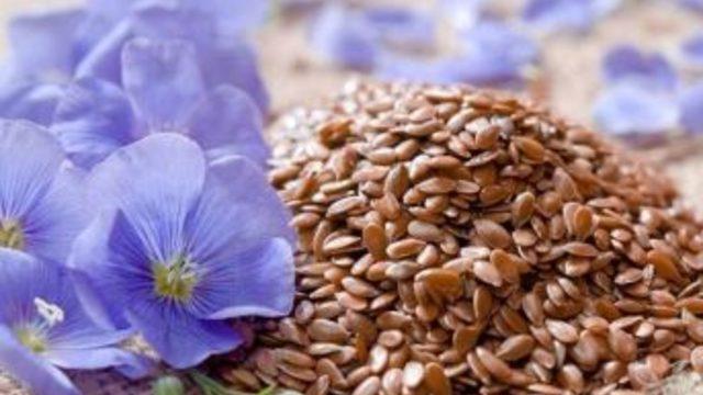 “kabızlığa Çare; Keten Tohumu”