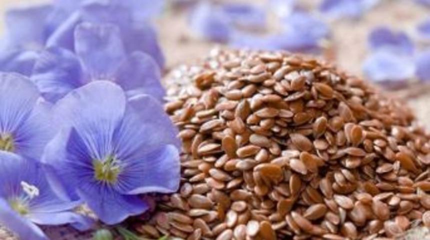 &ldquo;kabızlığa &Ccedil;are; Keten Tohumu&rdquo;