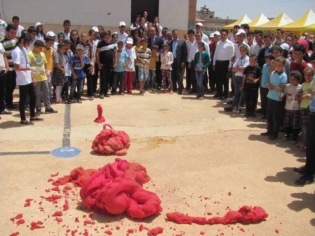 Elif Çpal Ve Ortaokulunda 4006 Tubitak Bilim Fuarı Açıldı