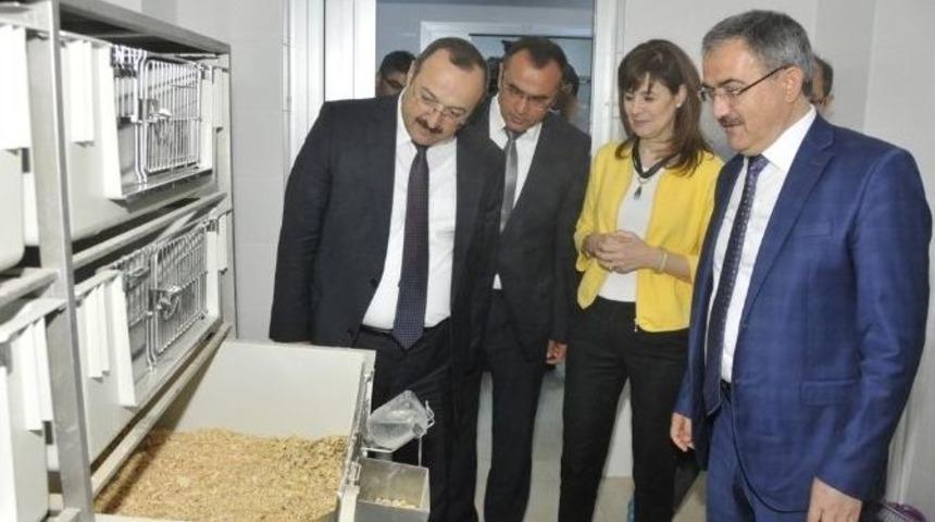 S&uuml;dam Danışma Kurulu Toplantısı Ger&ccedil;ekleştirildi